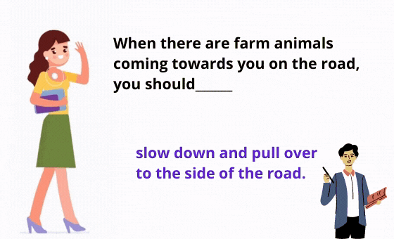 8 Kopie der Lernkarten Sri (26)