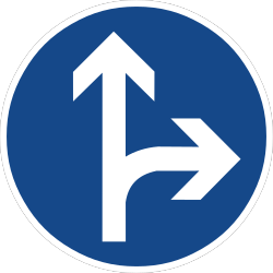 Flash-Card-Q40