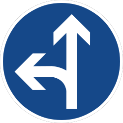 Flash-Card-Q41
